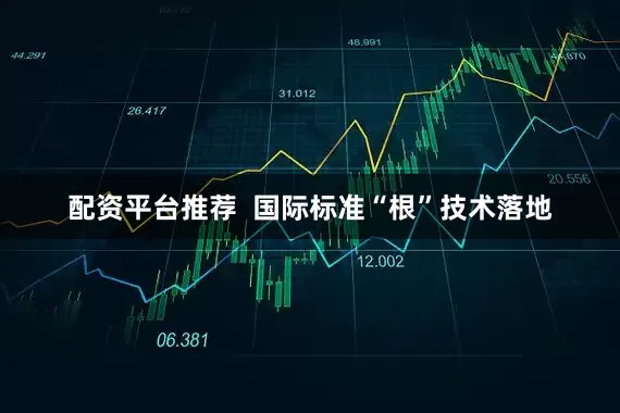 配资平台推荐  国际标准“根”技术落地