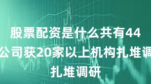 股票配资是什么共有44家公司获20家以上机构扎堆调研