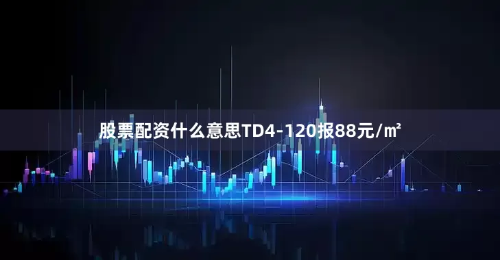 股票配资什么意思TD4-120报88元/㎡