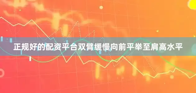 正规好的配资平台双臂缓慢向前平举至肩高水平
