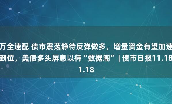 万全速配 债市震荡静待反弹做多，增量资金有望加速到位，美债多头屏息以待“数据潮” | 债市日报11.18