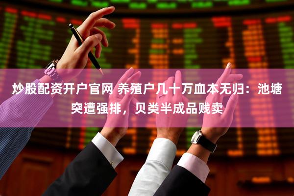 炒股配资开户官网 养殖户几十万血本无归：池塘突遭强排，贝类半成品贱卖