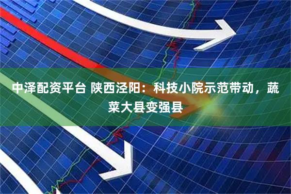 中泽配资平台 陕西泾阳：科技小院示范带动，蔬菜大县变强县