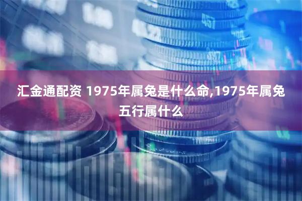 汇金通配资 1975年属兔是什么命,1975年属兔五行属什么